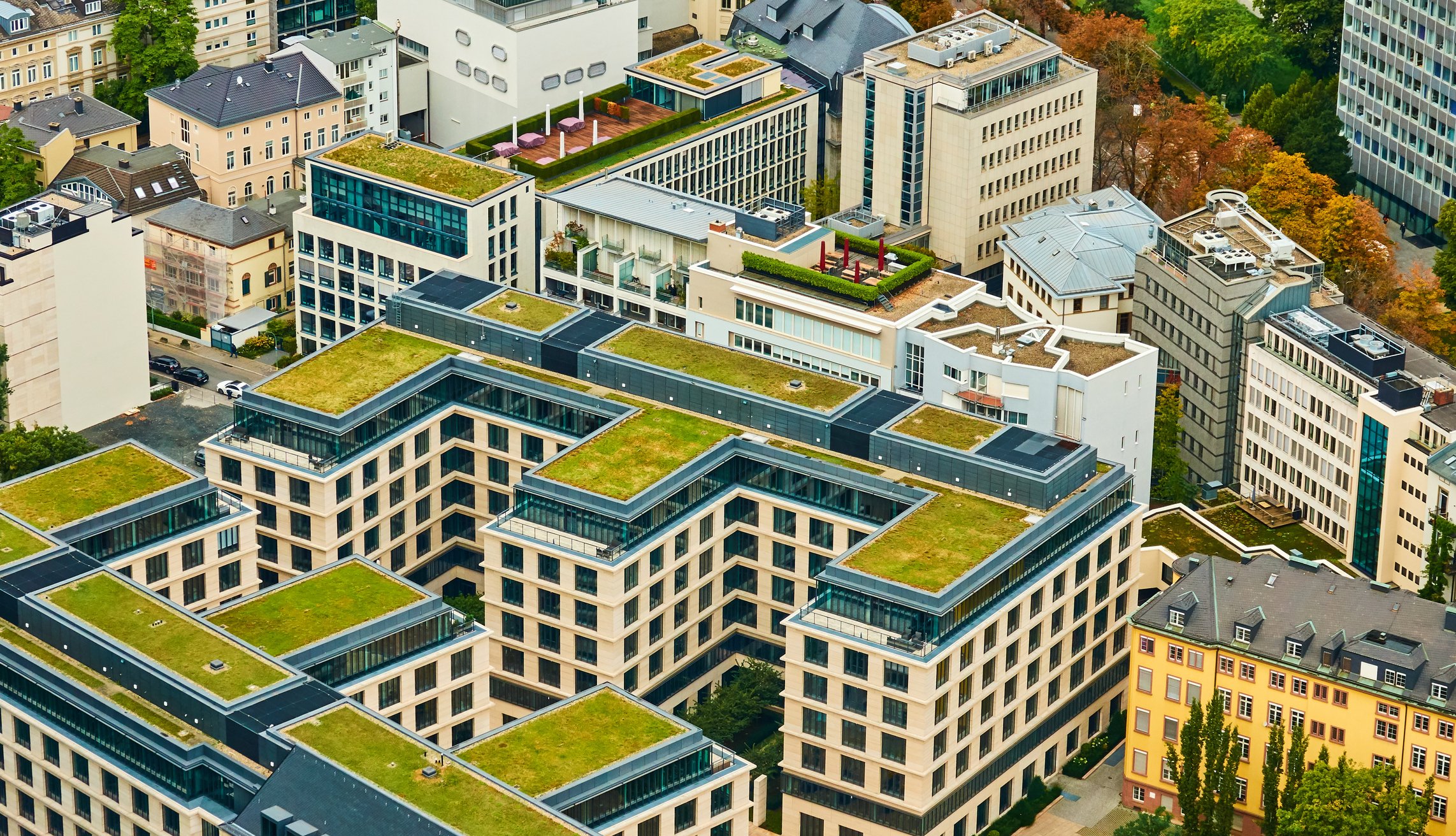 An arial view of two sustainable buildings featuring green roofs