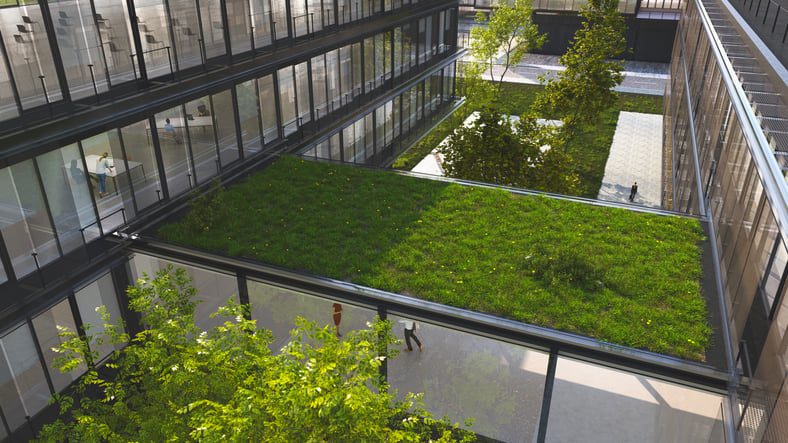 How Green Roofs Can Help Cities Fight Climate Change   Commercial Green Roof 