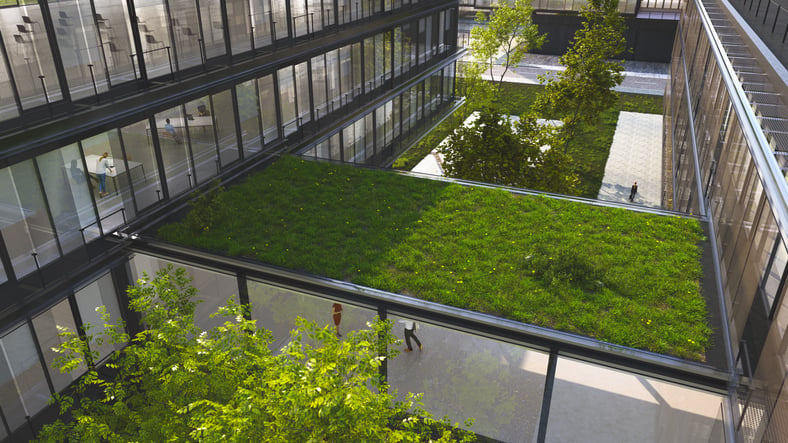 commercial-green-roof