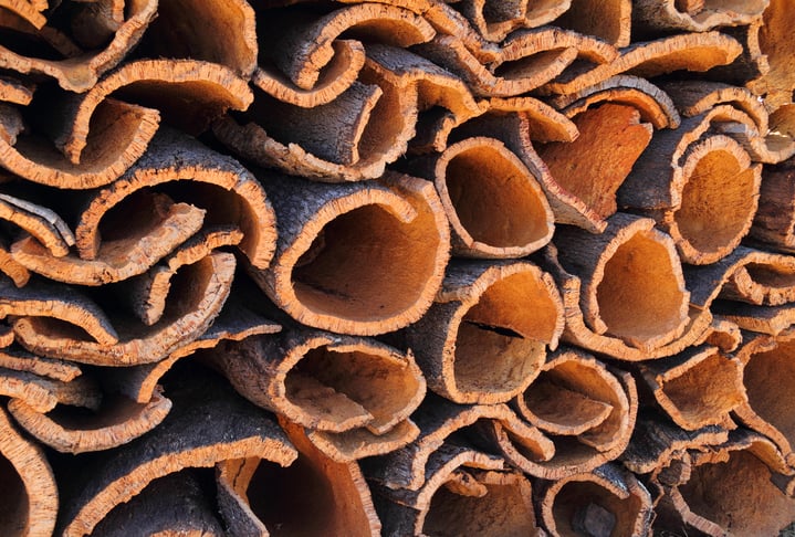 cork-oak