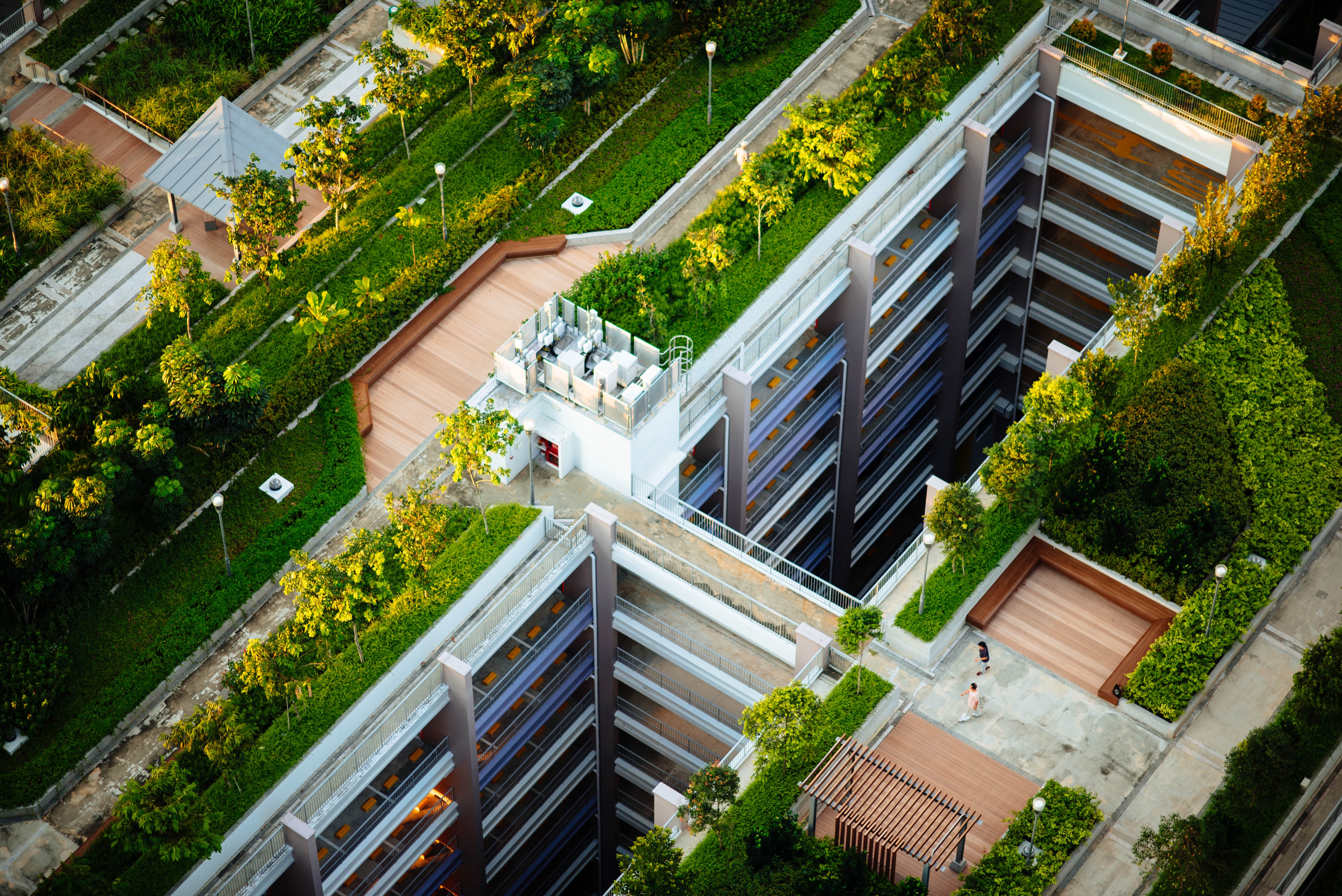 green-apartment-rooftop