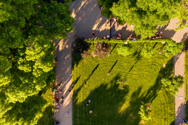 green-walkable-area-in-local-neighborhood