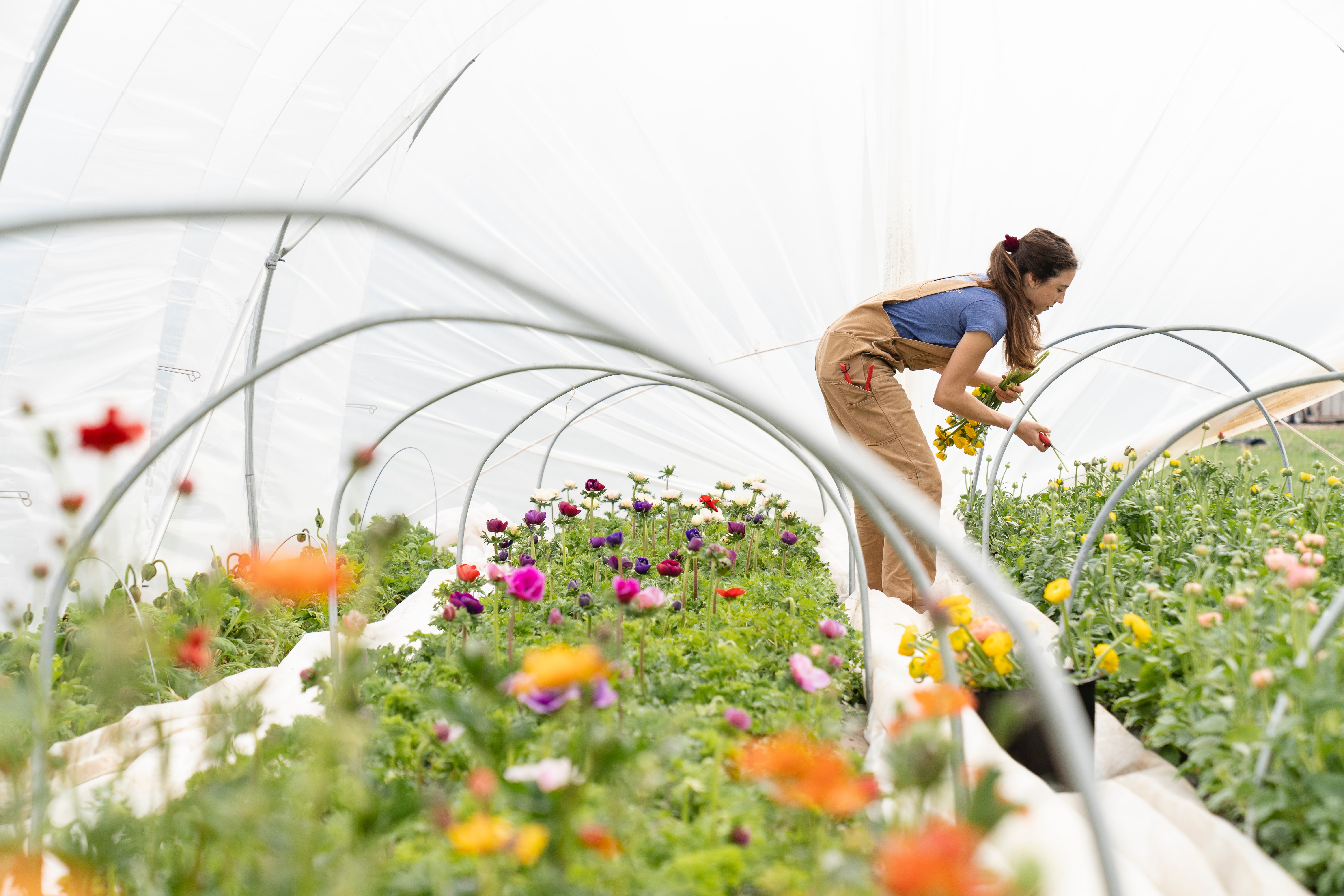 A young female horticulture specialist tends to plant life