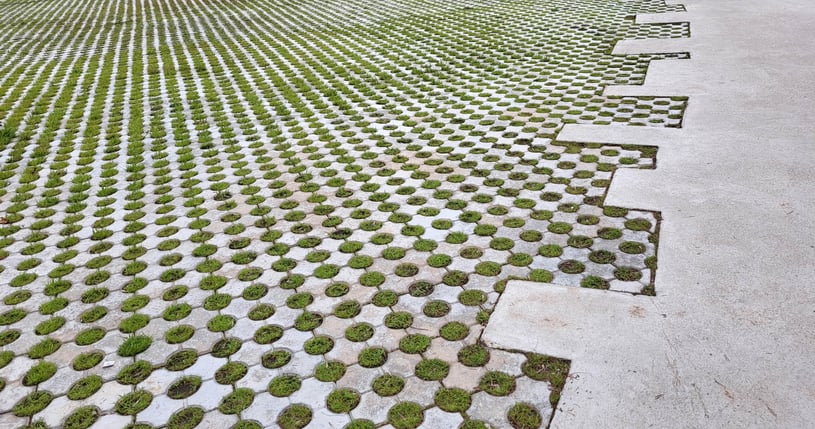 Concrete pavers with grass growing between them.