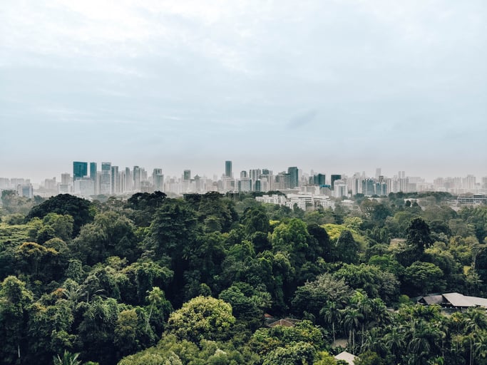 Image of dense tree coverage in Singapore.