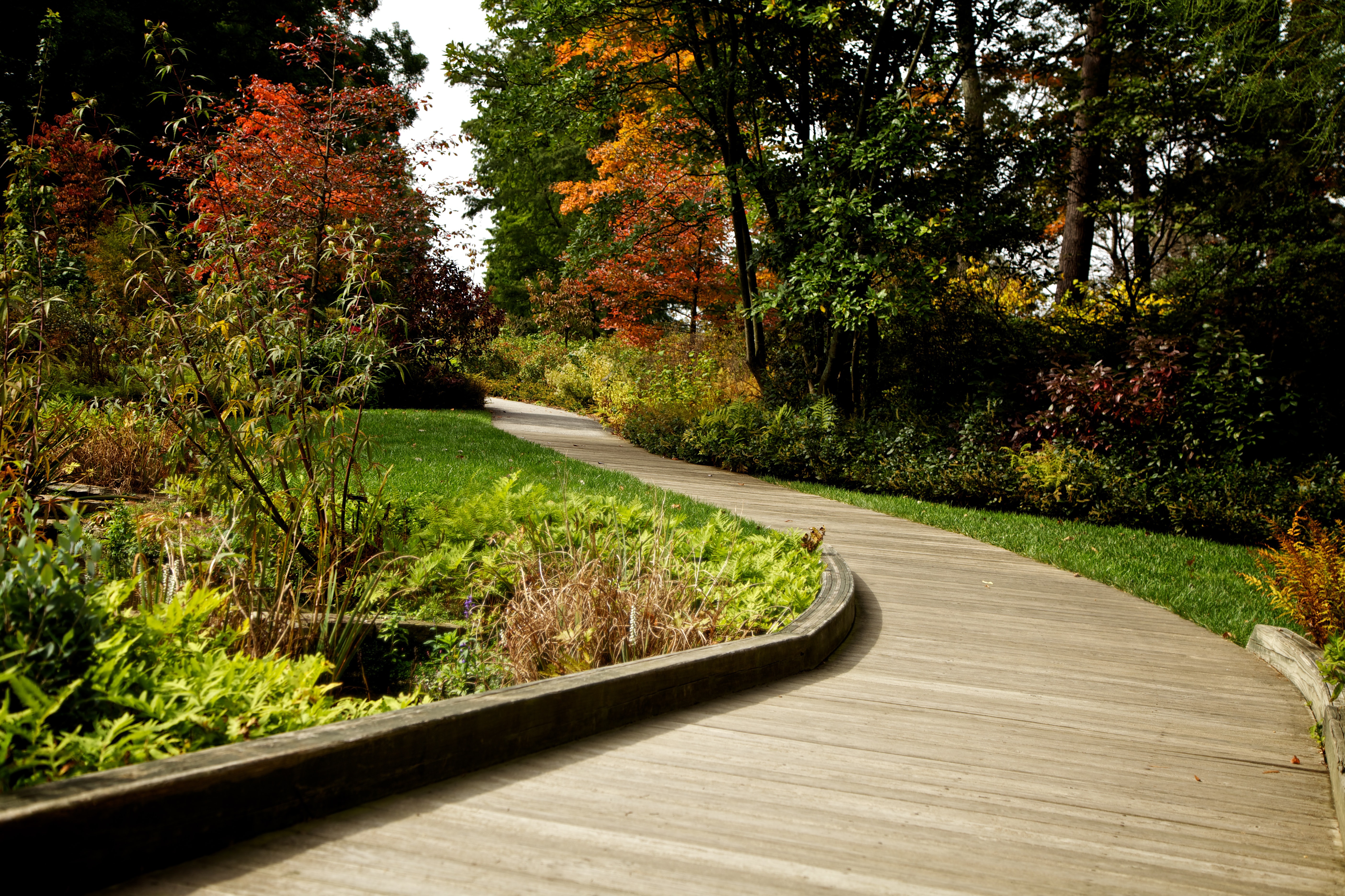 A walkway leads down path through beautifully landscaped grounds